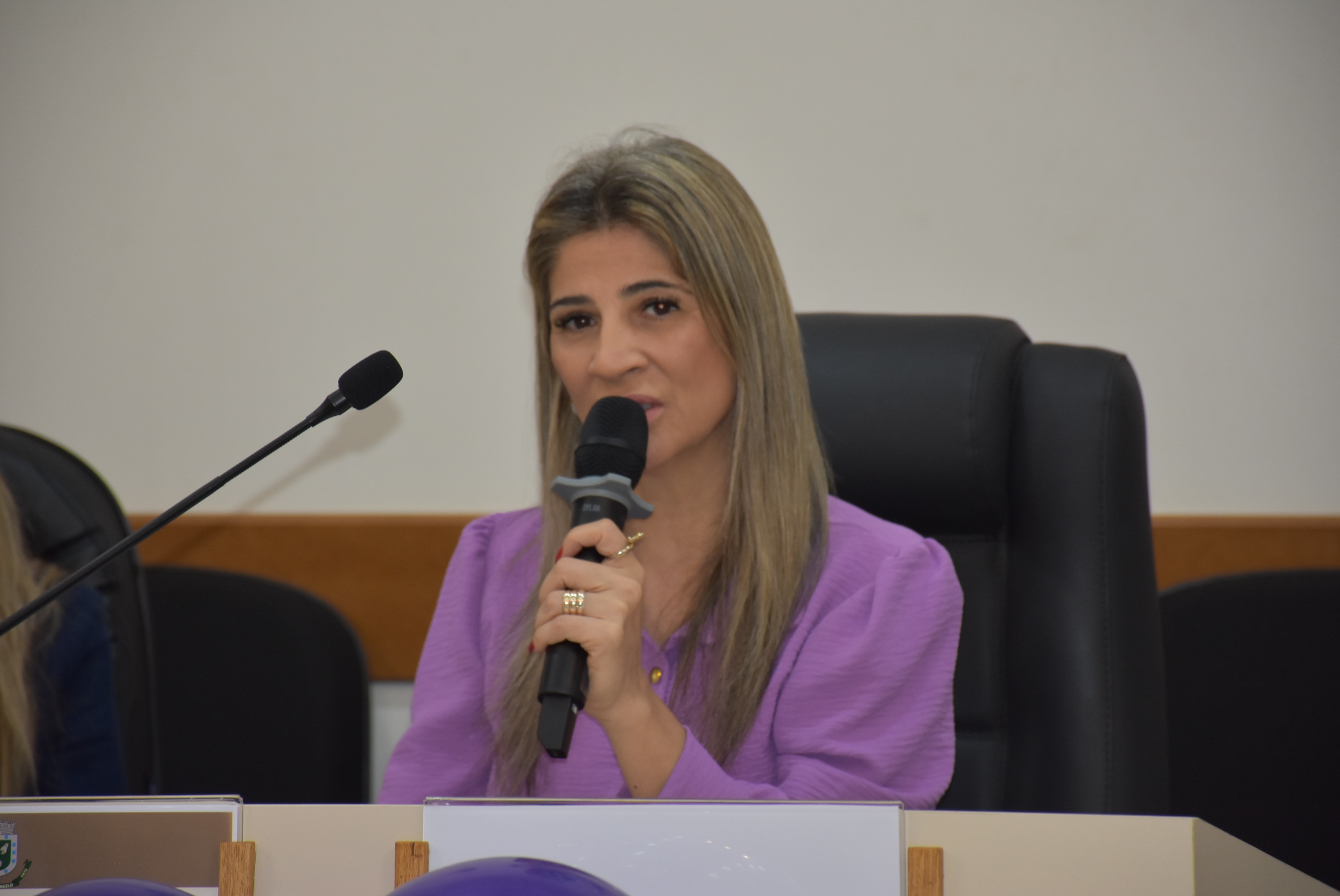 Agosto Lilás reúne instituições para fortalecer rede de proteção e apoio às mulheres em Santo Ângelo