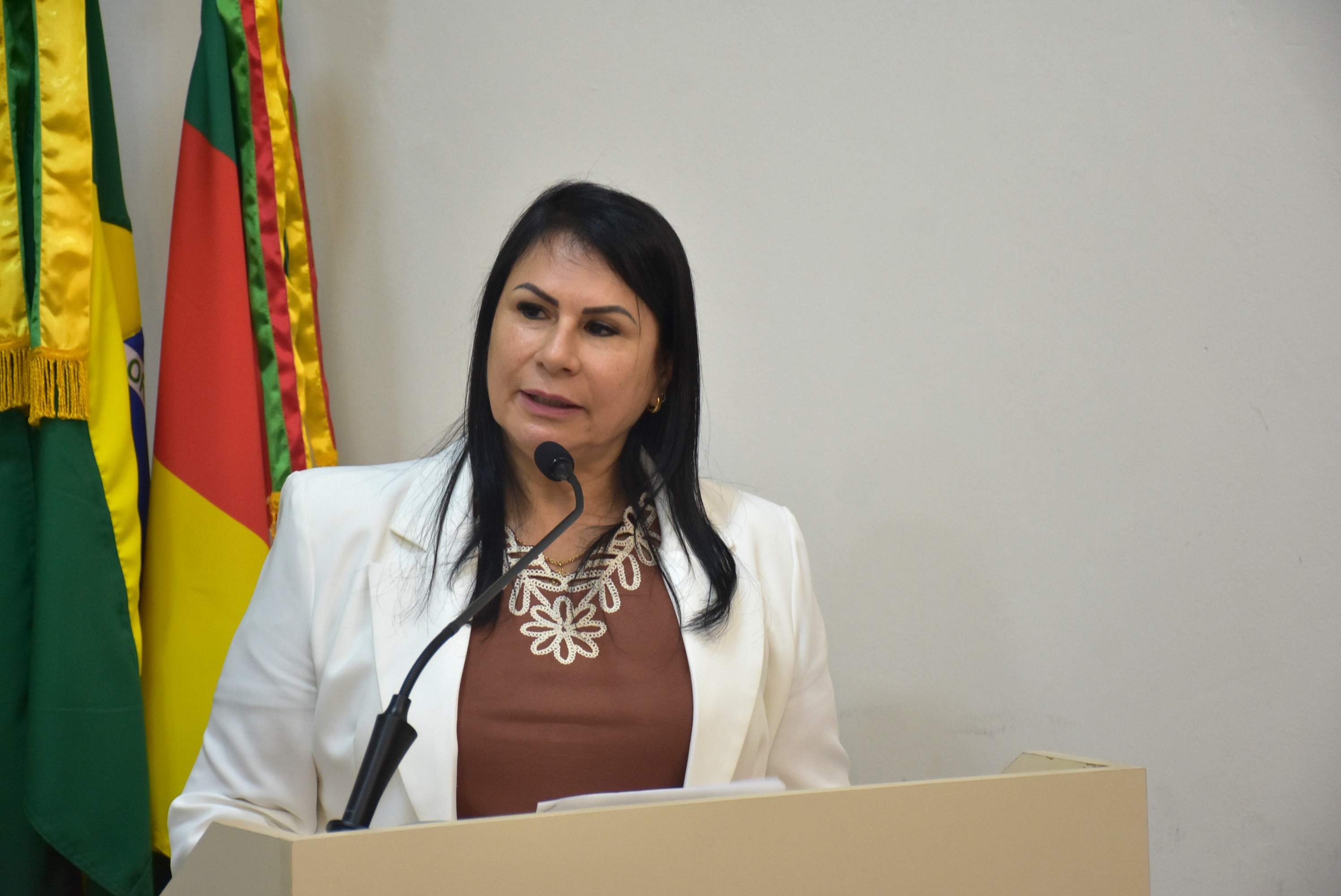 Câmara de Santo Ângelo realiza sessão solene em homenagem ao Dia do Professor