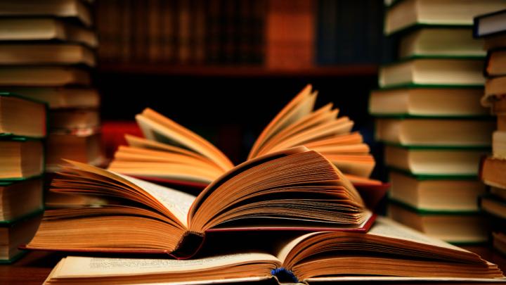 Legislativo &eacute; ponto de recolhimento da campanha &ldquo;Doe um Livro, crie um leitor&rdquo;