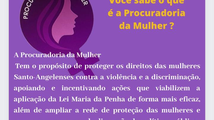 Procuradoria da Mulher refor&ccedil;a atua&ccedil;&atilde;o no combate a viol&ecirc;ncia contra a mulher? 